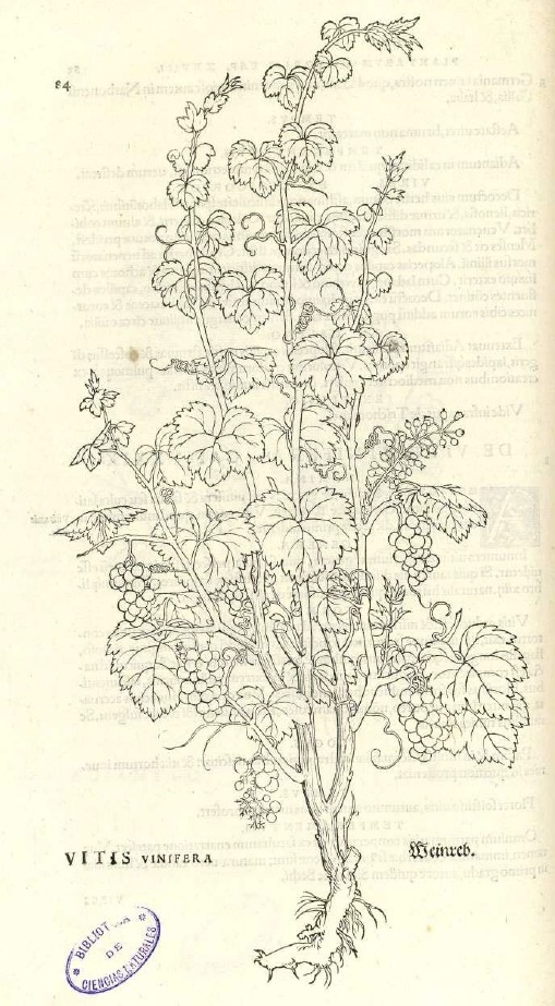 Fabrizio Baldassarri tweet media