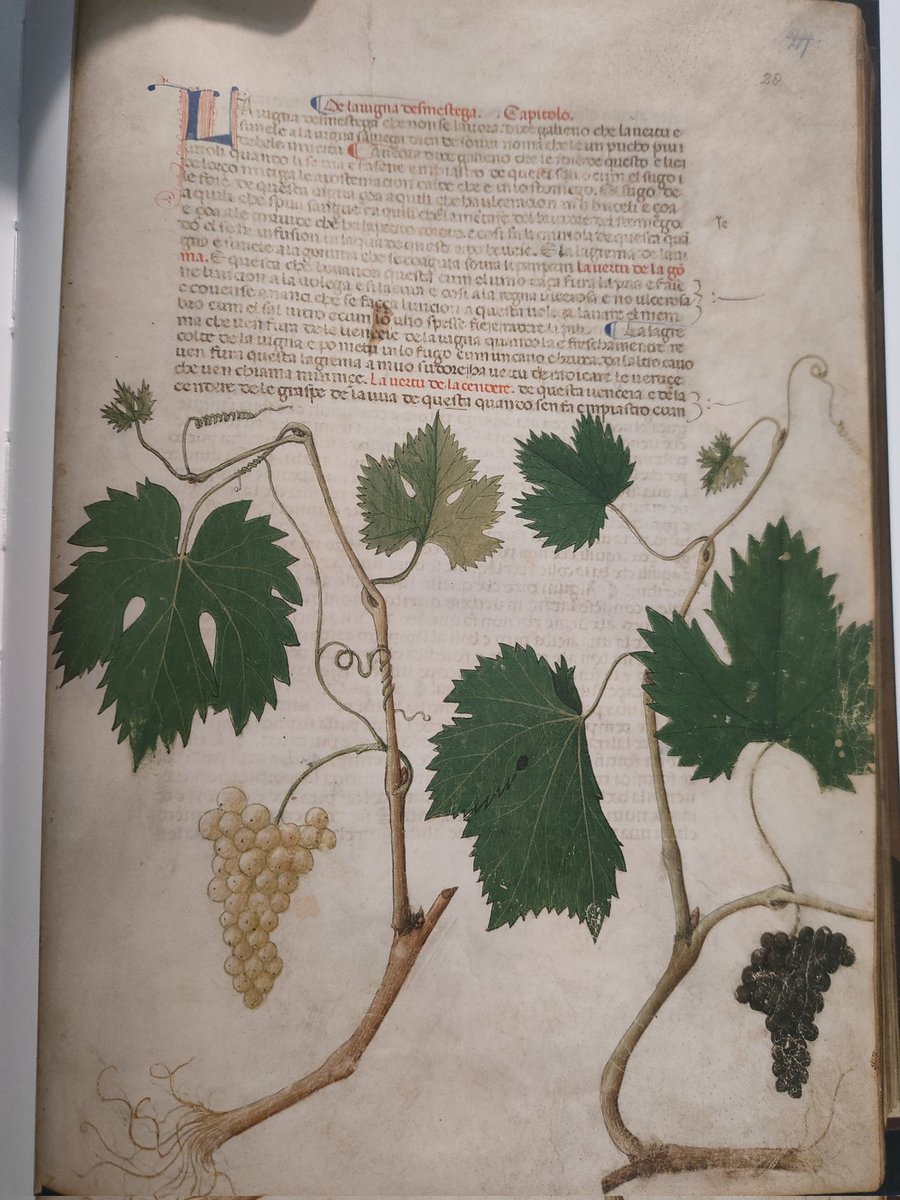 Fabrizio Baldassarri tweet media