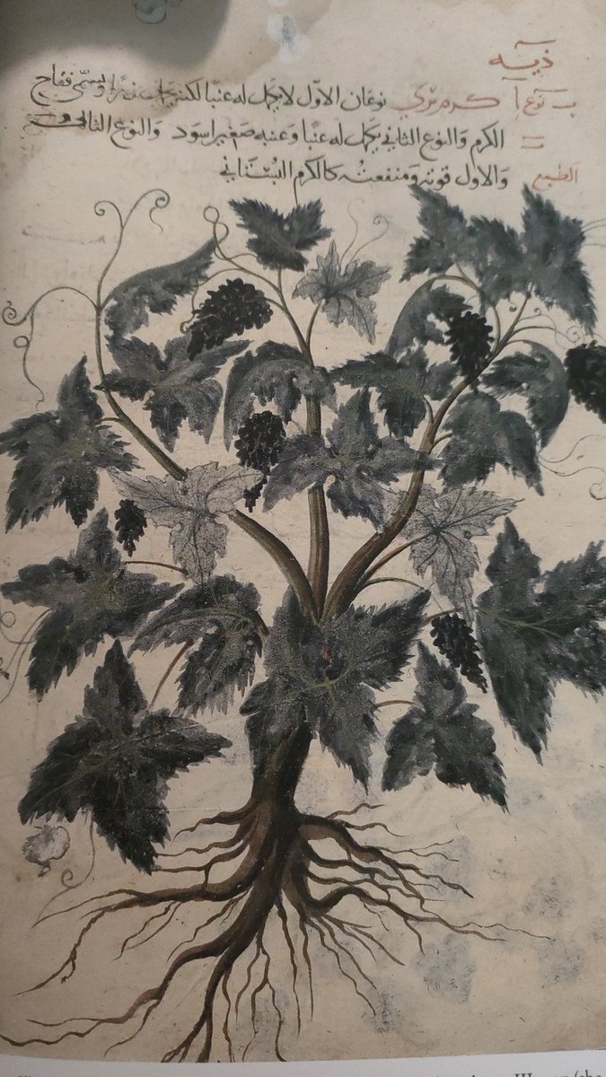 Fabrizio Baldassarri tweet media