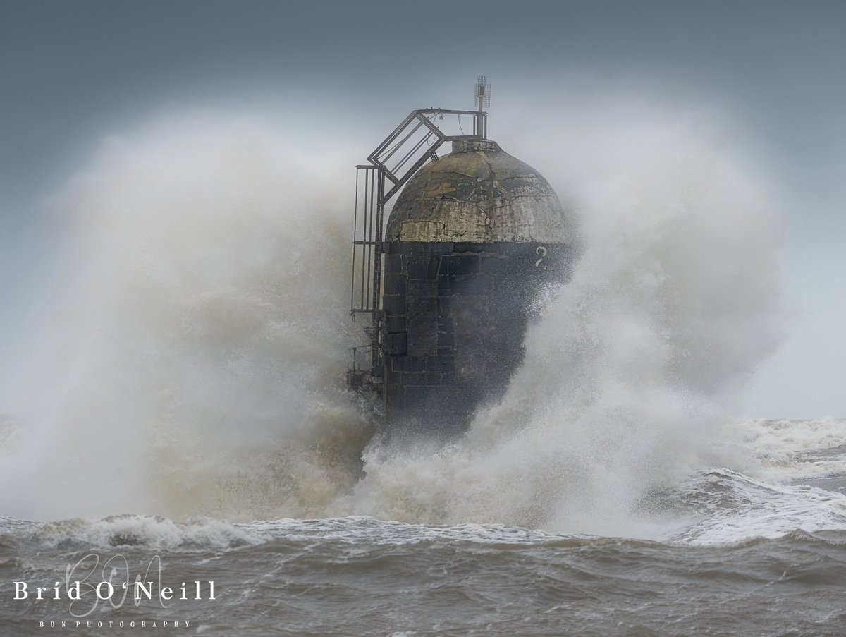 Bríd O'Neill (BON Photography) tweet media