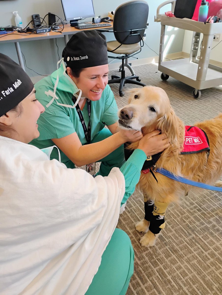 CU Anschutz Department of Anesthesiology tweet media