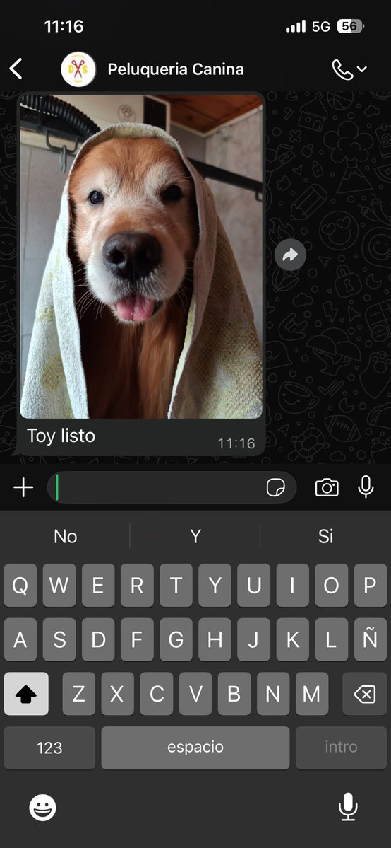 alanchantt's tweet image. Así me avísa el de la peluquería que puedo retirar al pibe con canas
