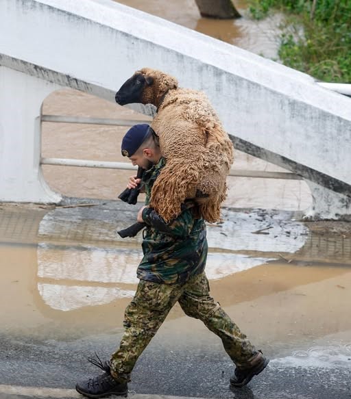 Todas as vidas são valiosas. 🙏🇵🇹