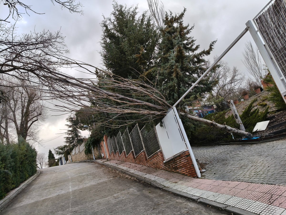 PCVillalbilla's tweet photo. ⚠️ EL VIENTO NO DA TREGUA 🌬️

Desde las 10:00 h. atendiendo mas de más de 12 intervenciones por:
🌳 Caída de árboles
🧱 Desprendimientos
⚠️ Riesgos en la vía pública
Junto con Policía Local de Villalbilla y @bomberosalcalap22

👉 El viento no se ve, pero sus efectos sí. https://t.co/j36TRiZ8MX