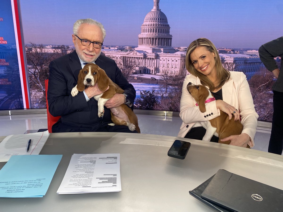 Wolf Blitzer tweet media