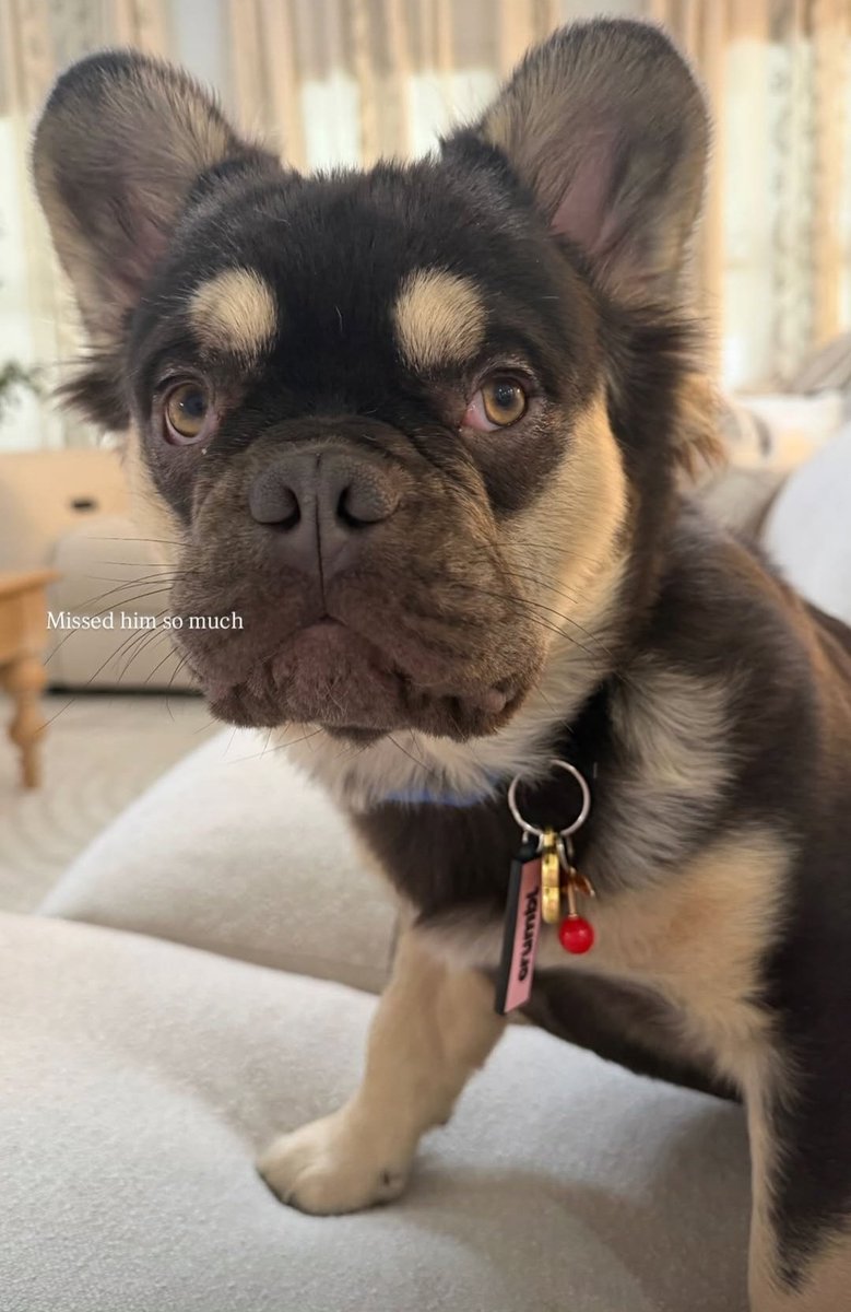 ➳ 𝓣𝓲𝓯𝓯𝓪𝓷𝔂 | Not @tiffstrattonwwe tweet media