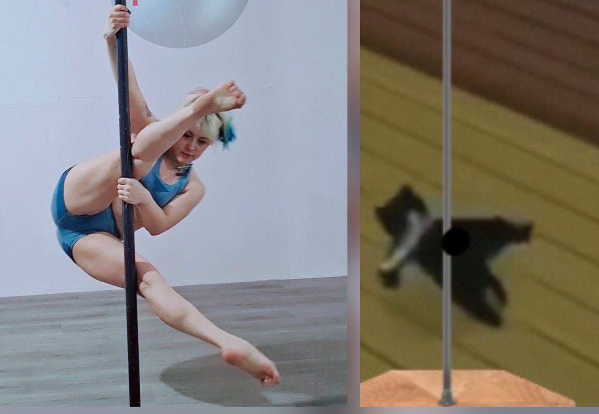 Same pic, no differences