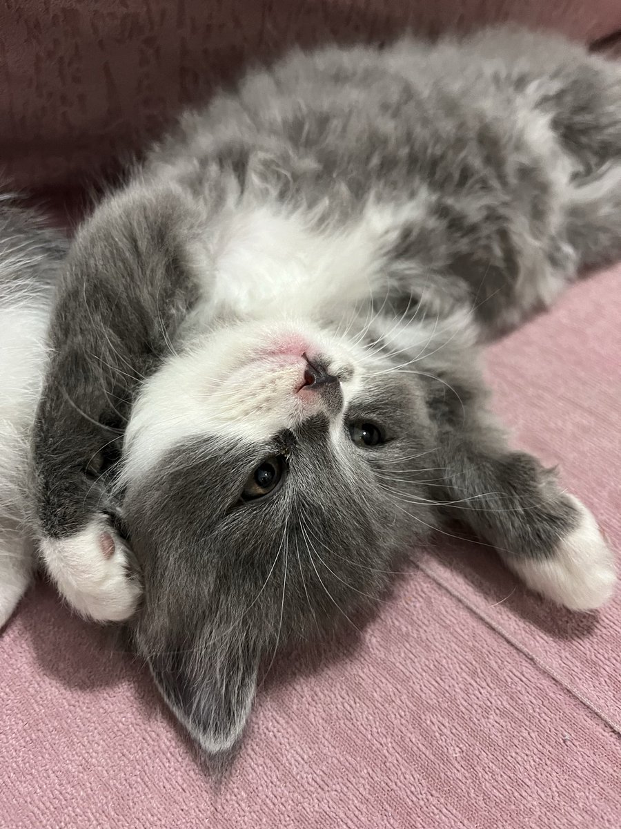 bıdık bi emoji olsaydı 🙃 bu olurdu bence