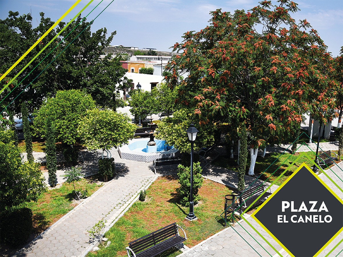 ¡En tu paseo por #GeneralCepeda, visita la Plaza El Canelo! 🌳✨

Un lugar perfecto para tomarte un tiempo, descansar bajo la sombra de sus árboles y relajarte con la tranquilidad que caracteriza a este #PuebloMágico. ⛪🚶‍♂️

¡Te esperamos! 🤠🦖

#GeneralCepedaEsParaTi #Coahuila