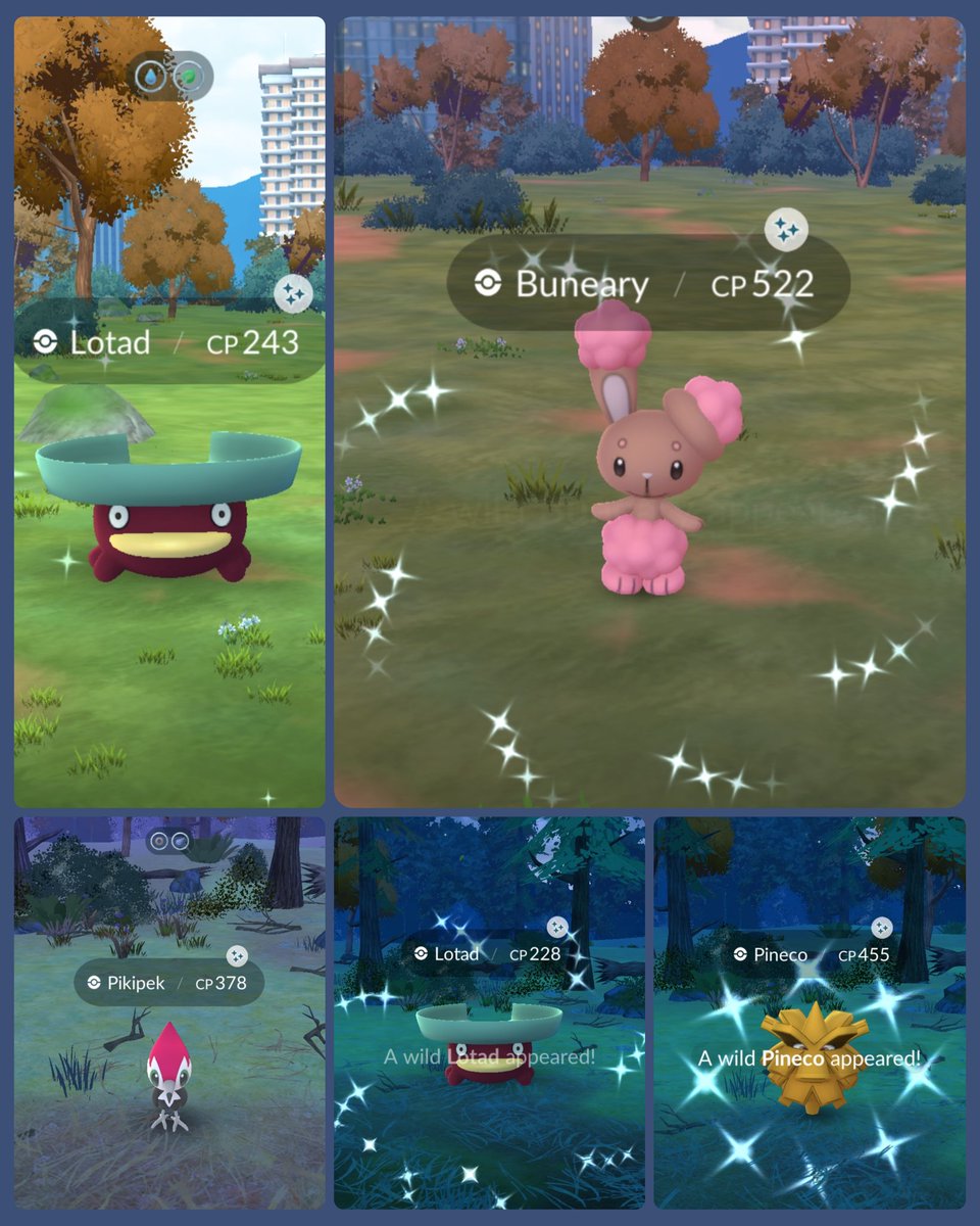 Busy day, but a shiny fairy sprinkled some sparkles to my way 🤩✨✨✨✨✨✨✨✨✨✨✨ #PokemonGO  #ShinyPokemon