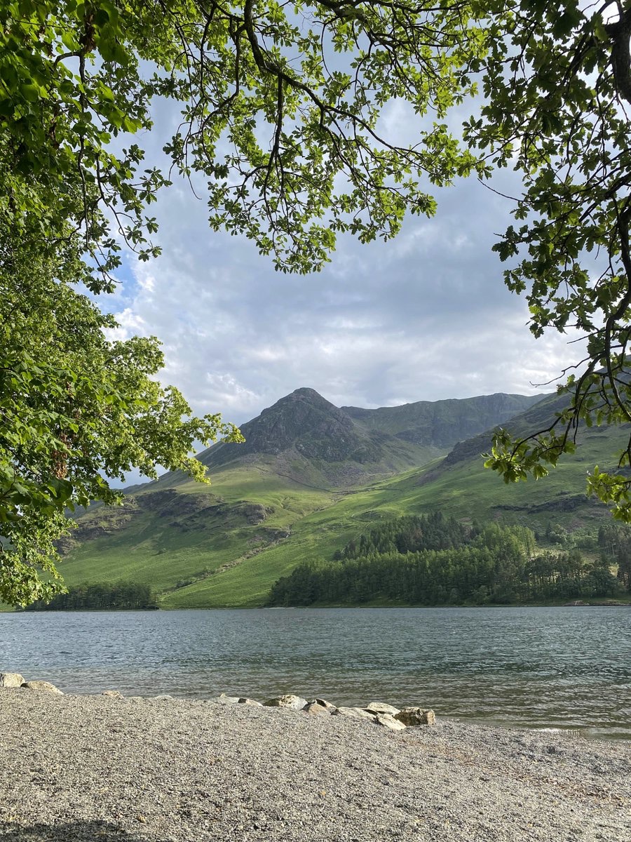 Postcard from Britain tweet media