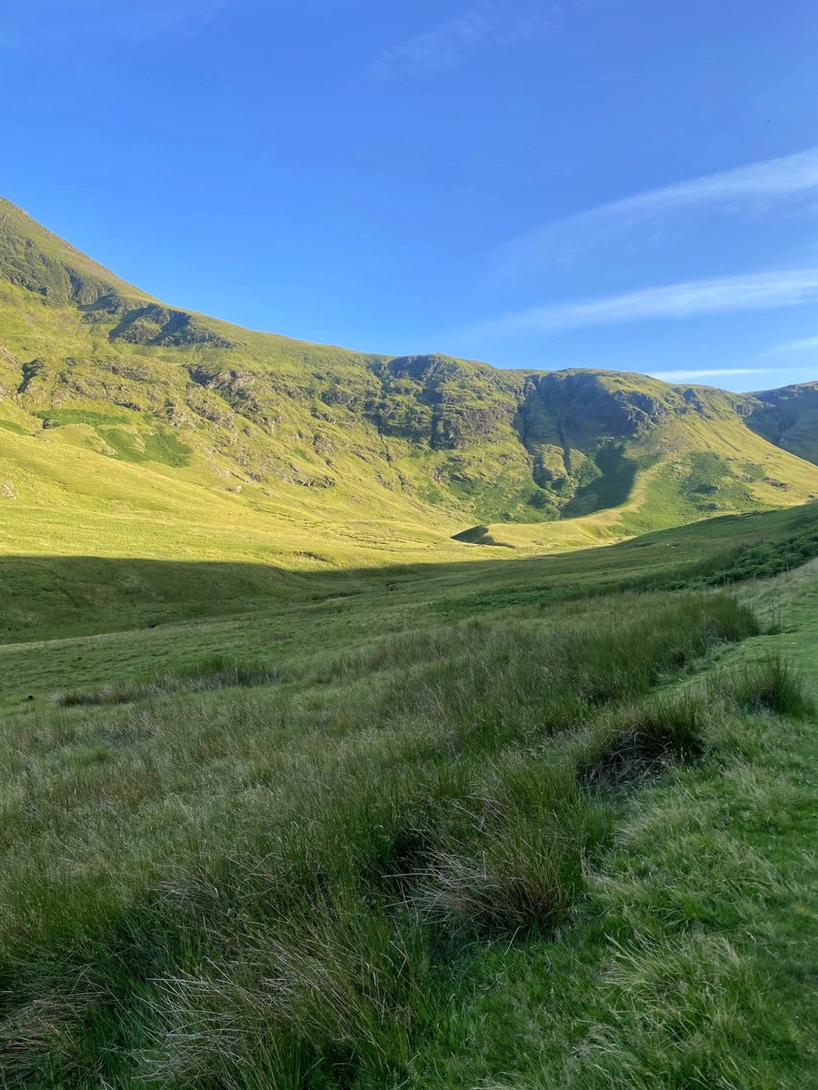 Postcard from Britain tweet media