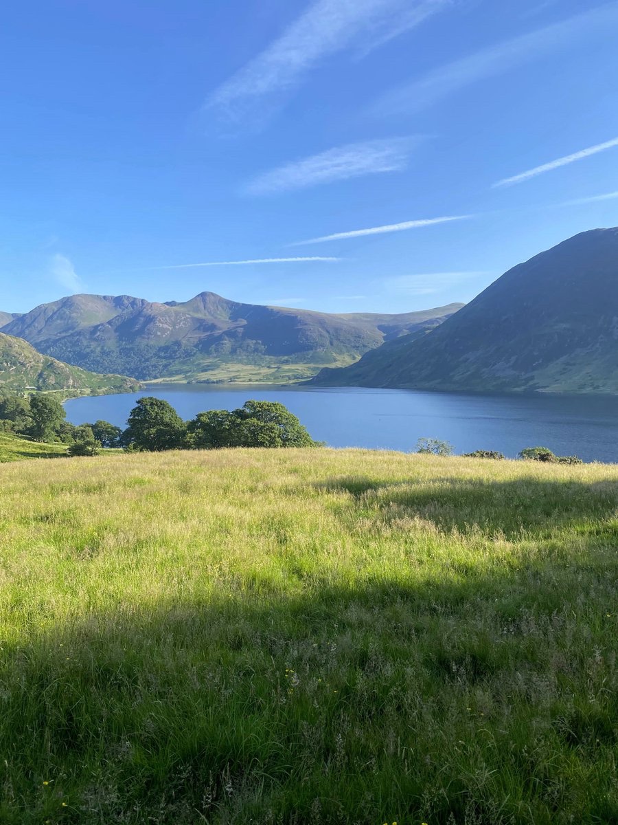 Postcard from Britain tweet media