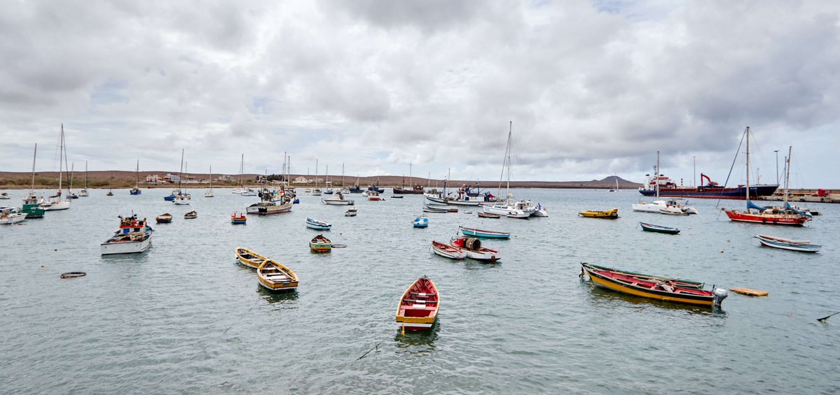 FAOCaboVerde tweet media