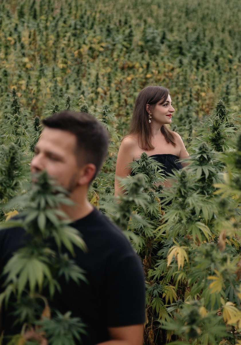 Stonerchef tweet media