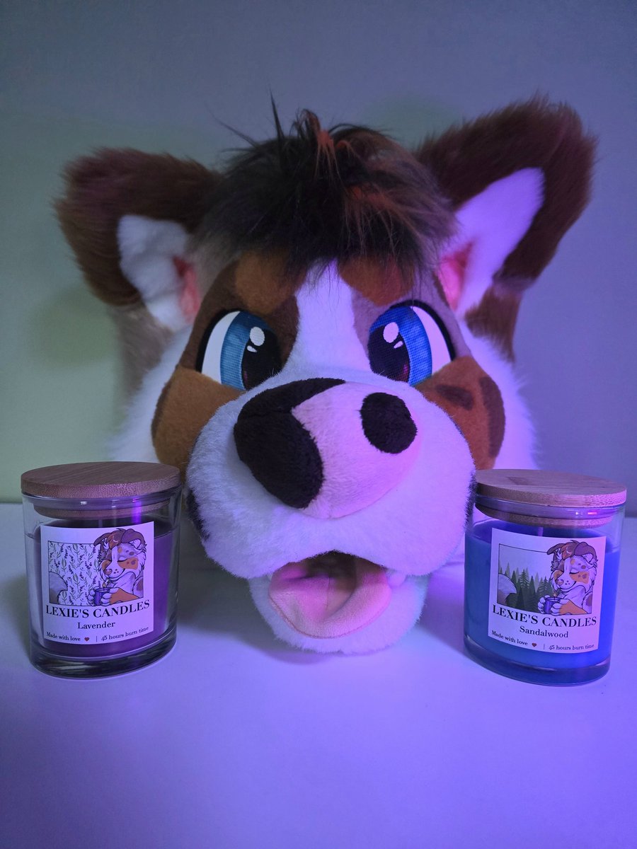 Lexie Doggo tweet media