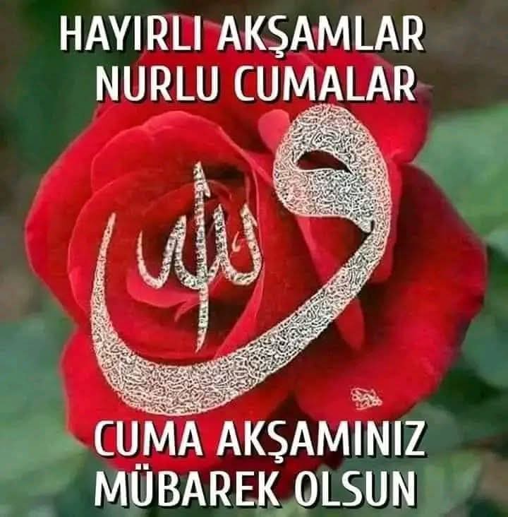 @NusretAkpak2024 tweet media