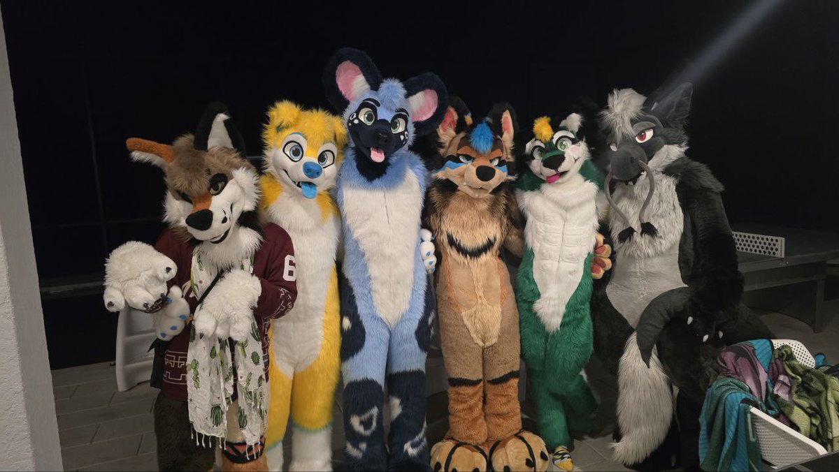 Packer 🔜 LVFC, Furdu, FWA, AC tweet media