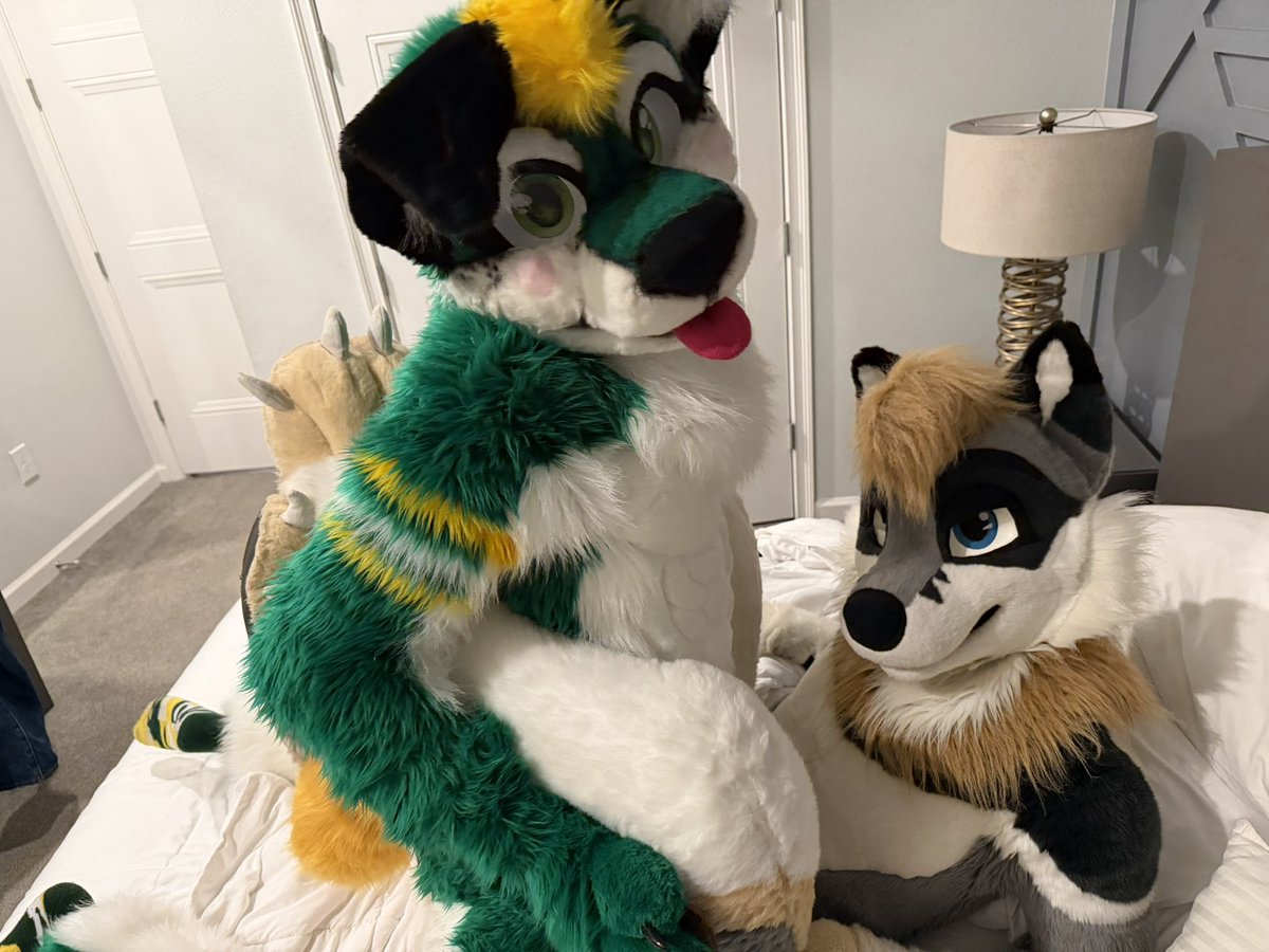 Packer 🔜 LVFC, Furdu, FWA, AC tweet media