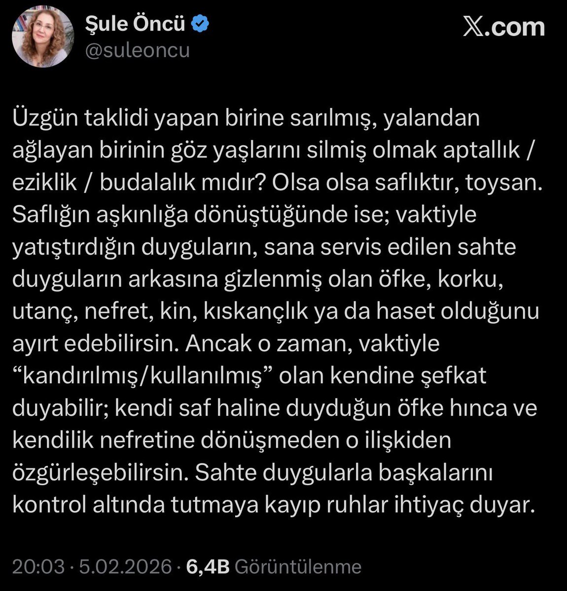 Aptal yerine koyduğunuz insanlar aptal değil, siz kötüsünüz.