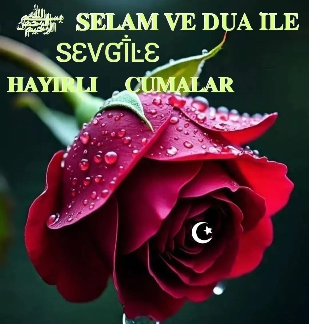 NusretPayr70523 tweet picture