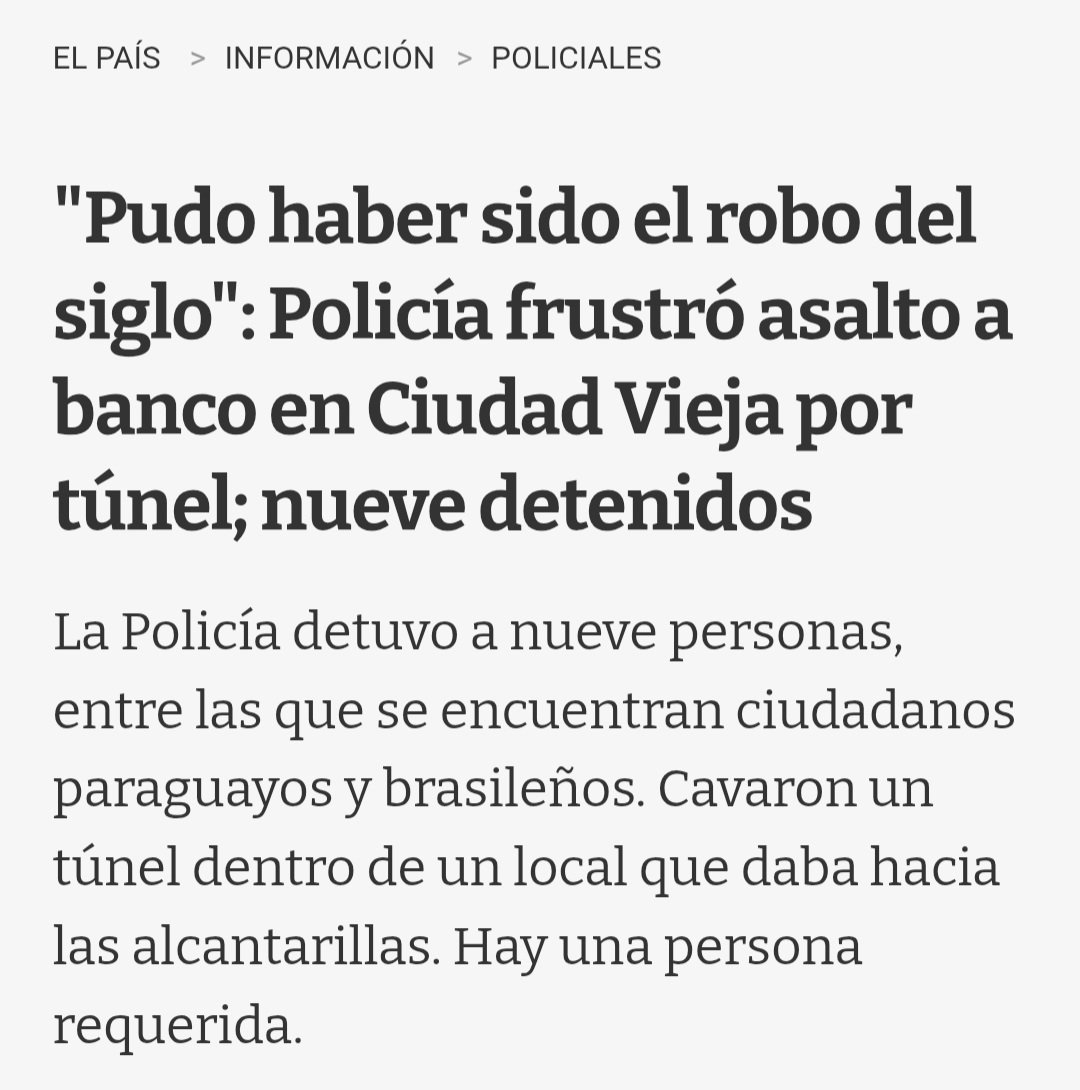 Pati Rodriguez Larriera ⁷ 🦋 tweet media