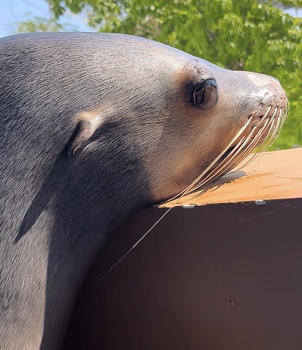 你人还怪好嘞 tweet media