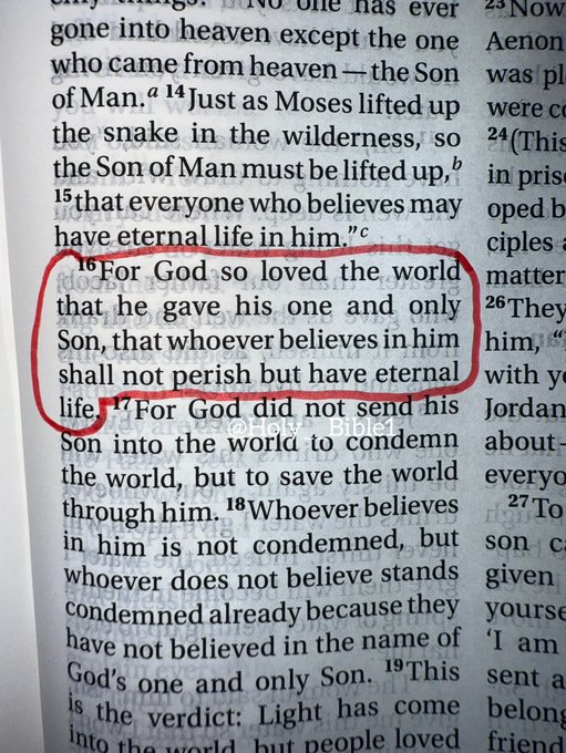 Bible 365 tweet media