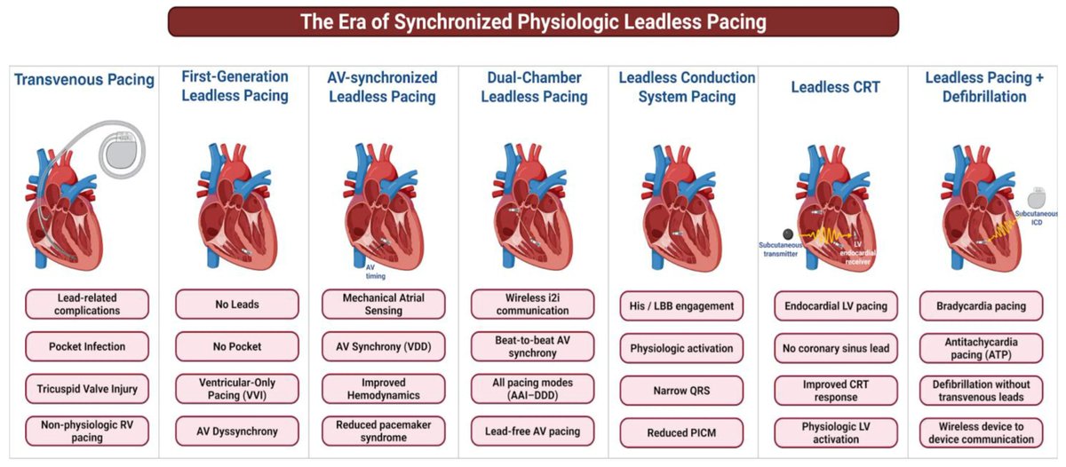 Shrestha DB tweet media