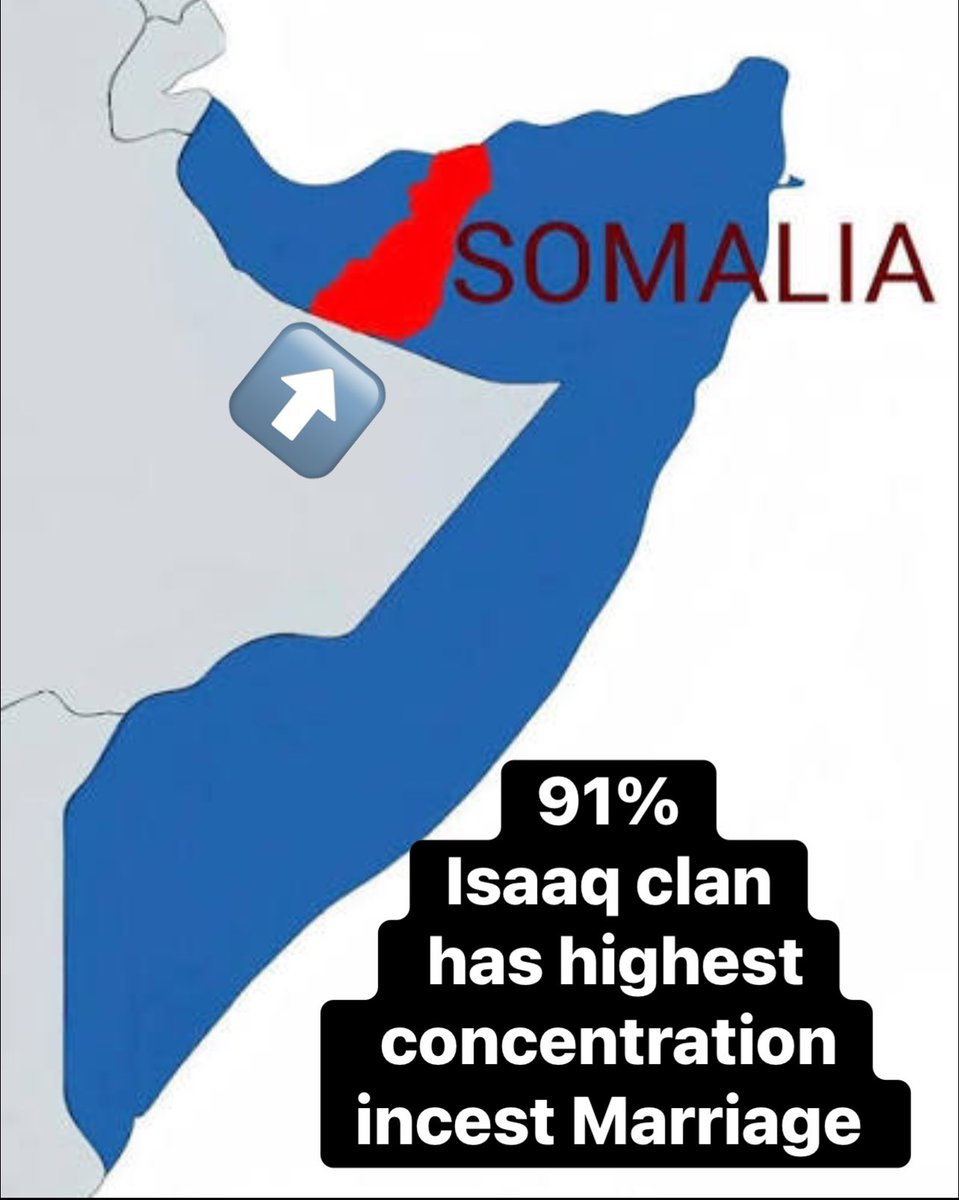 Ali_Proffesor's tweet photo. Sometimes i wonder whether the incest culture within us Isaaq has resulted in mental breakdown.π©
We have the highest number of cousin marriages in the Somali World.
High rates of cousin marriage come with proven genetic consequences, and pretending otherwise is irresponsible. https://t.co/1SPxEGoKO7