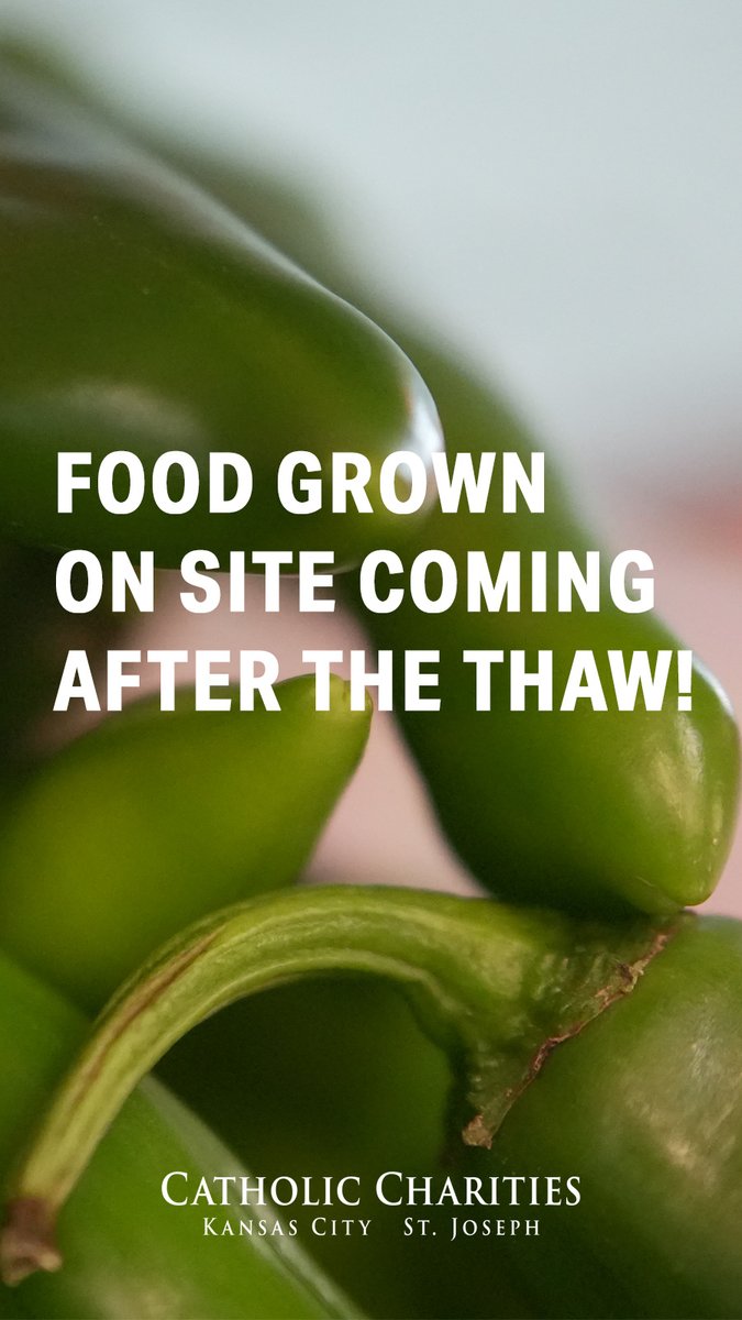 For his Eagle Scout project, Daniel Schatz of Troop 391 built us raised garden beds that we'll use to grow produce for our food market. Thank you so much Daniel, your work will help us feed our neighbors with food as fresh as it possibly could be!