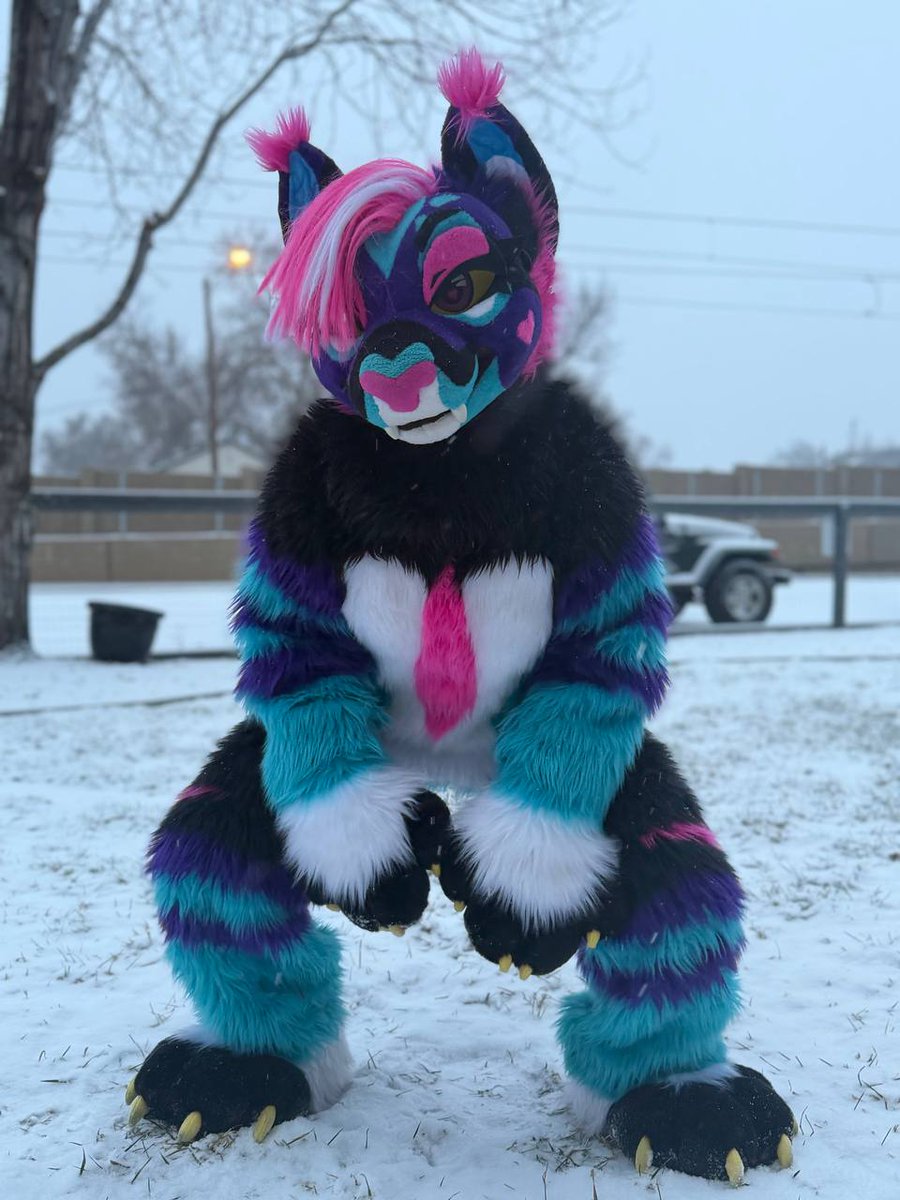 nui ✨️ tweet media