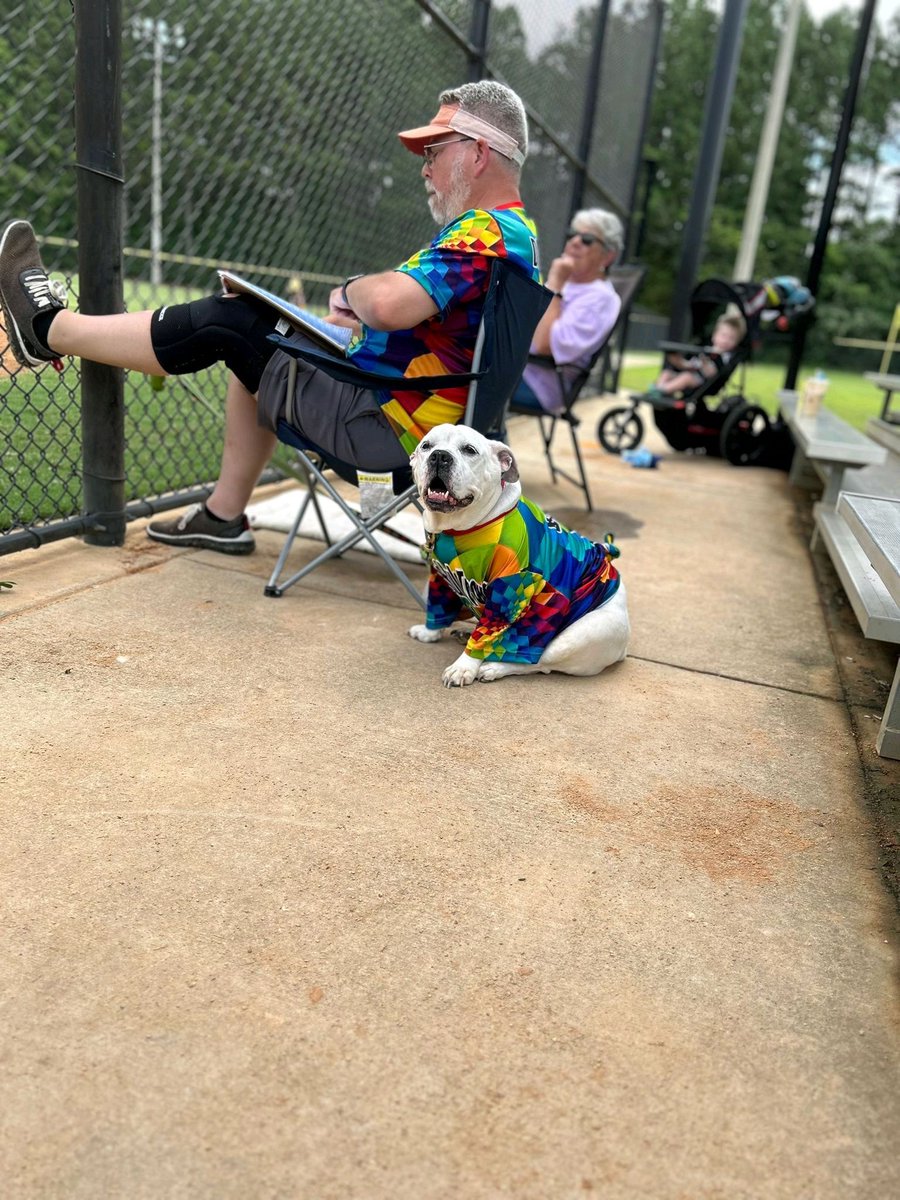 JgManthey's tweet photo. @UCFProduction Bebe is ready for opening day! #PoochPics https://t.co/6rCqfeQ7Vp