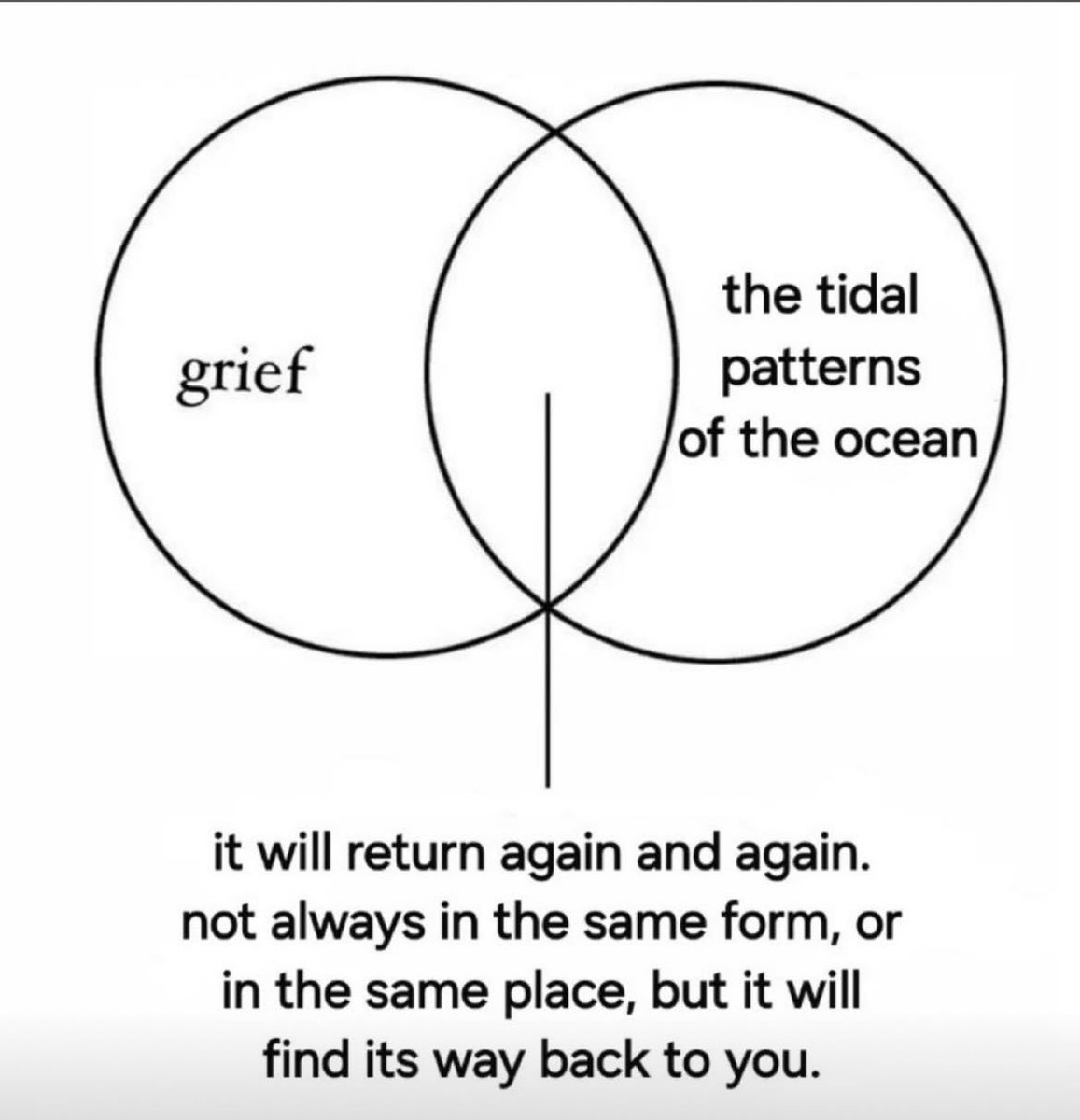 thesecretcloset tweet media