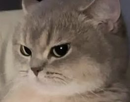 Nomeee✨ tweet media