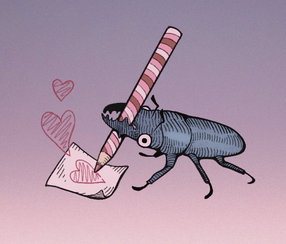 beetle writing u a love letter 💌
