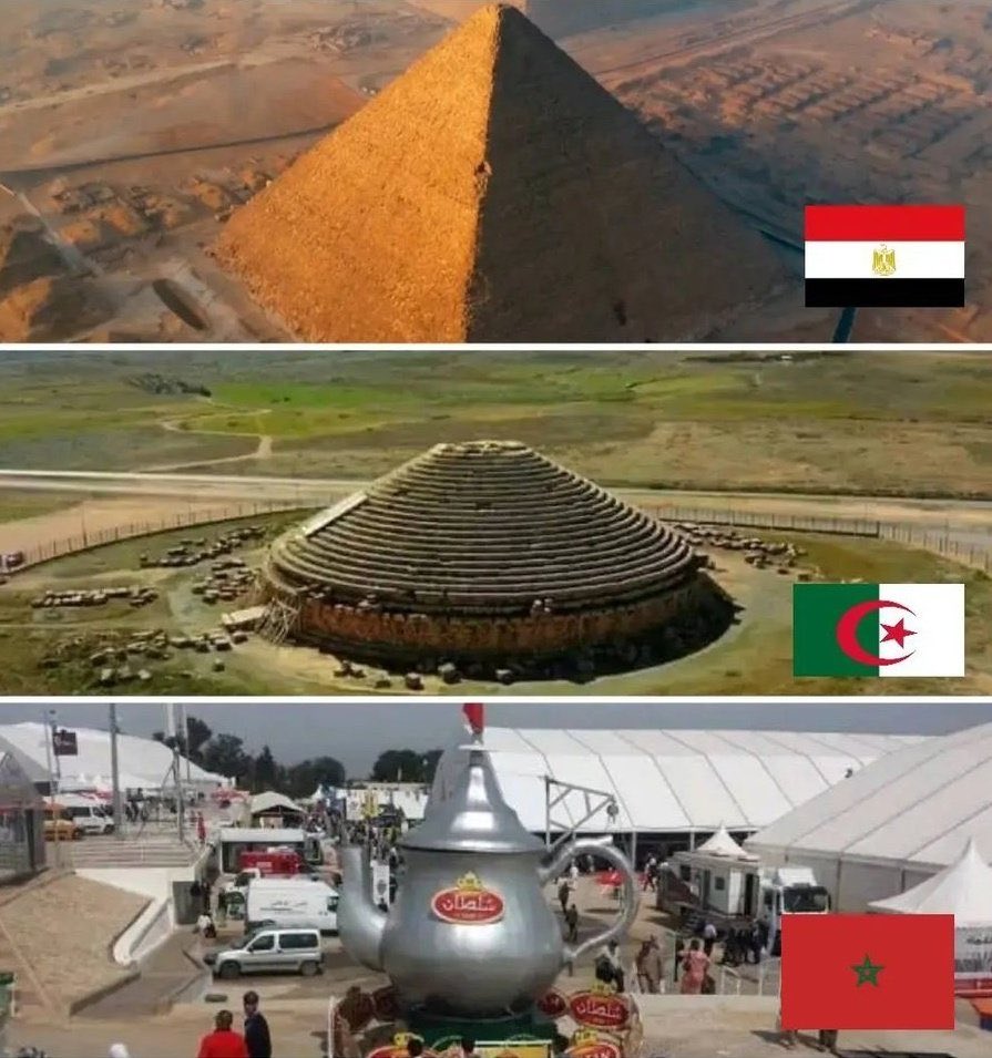 🇩🇿🇵🇸 tweet media