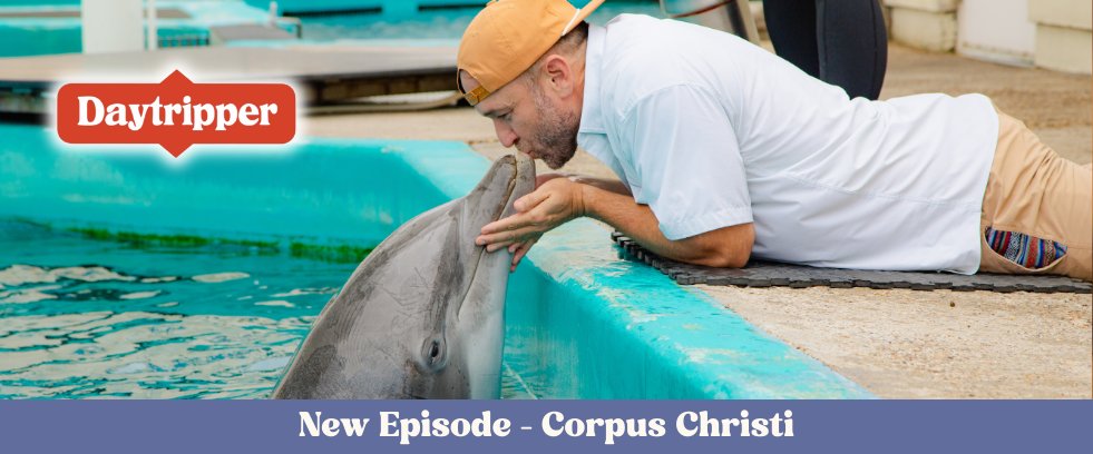 Chet Garner | The Daytripper tweet media