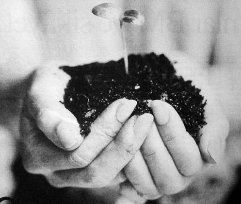 "Yüzlerce ayrık otu içinde “bir tutam kır çiçeği”ydik. 12 Eylül karanlığında ışık olduk; evleri, sokakları “granitten kale” yaptık; zindanlarda, ölüm oruçlarında bayraklaştık… #İhtilalciKomünist geleneği taşıdık. Biz çelikten #BolşevikMüfreze'yiz!"
tinyurl.com/42sh26s3