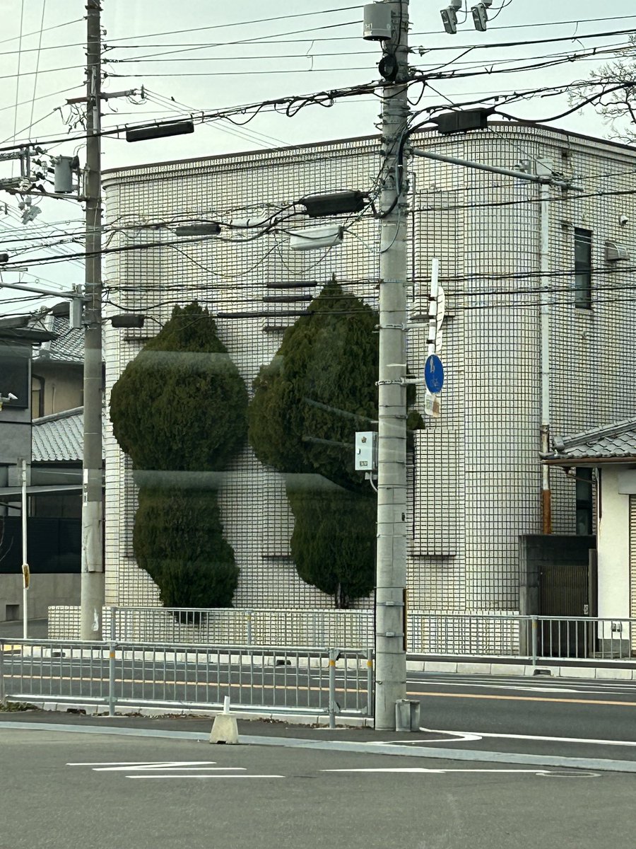 (∀＼*))ｷｬﾊ〜何に見える？