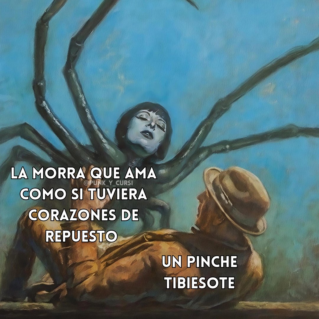 🕷️🕷️🕷️🕷️