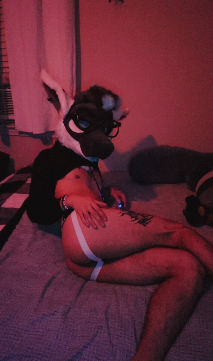 Sharktailup tweet media