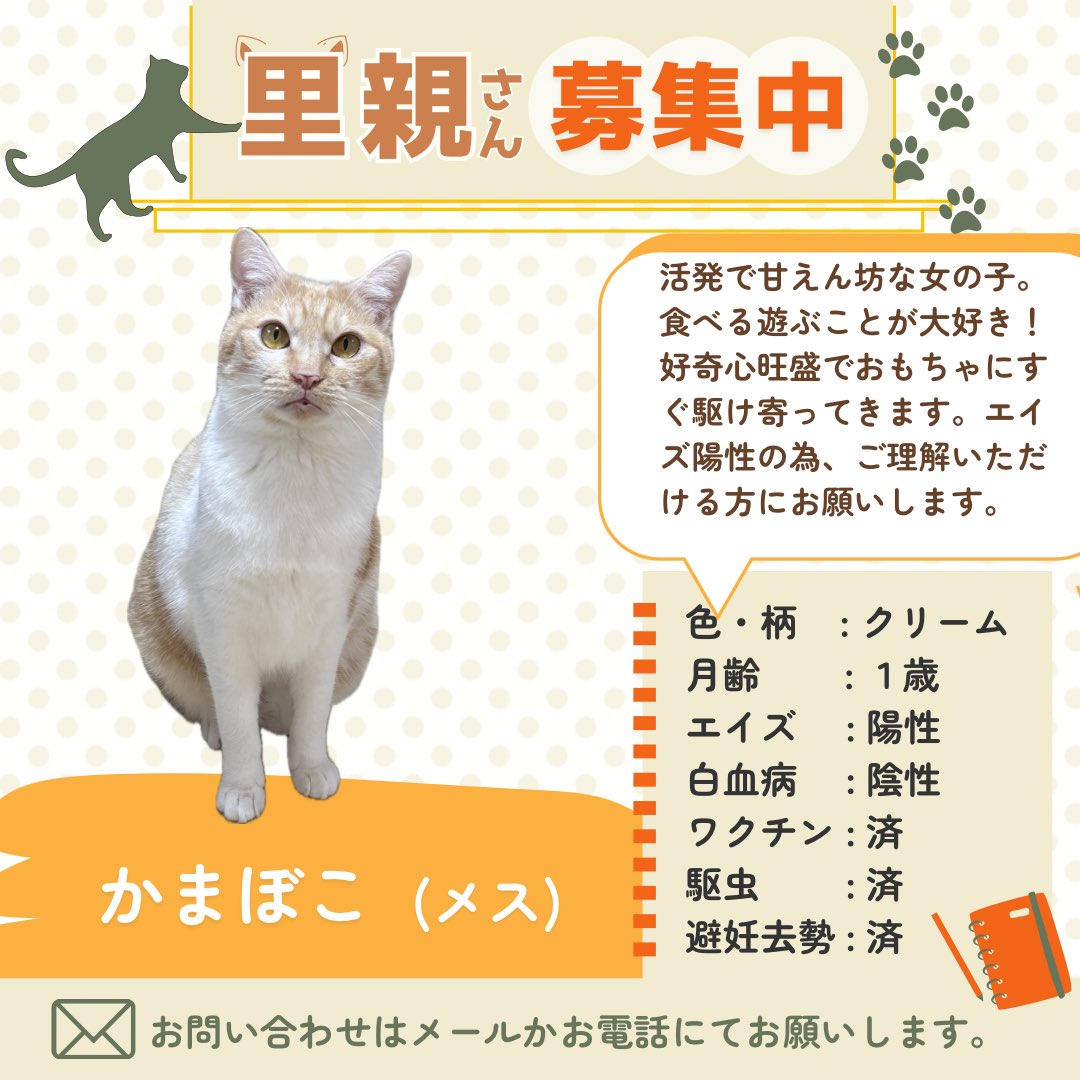 すみパン@5/10(日)譲渡会 tweet media