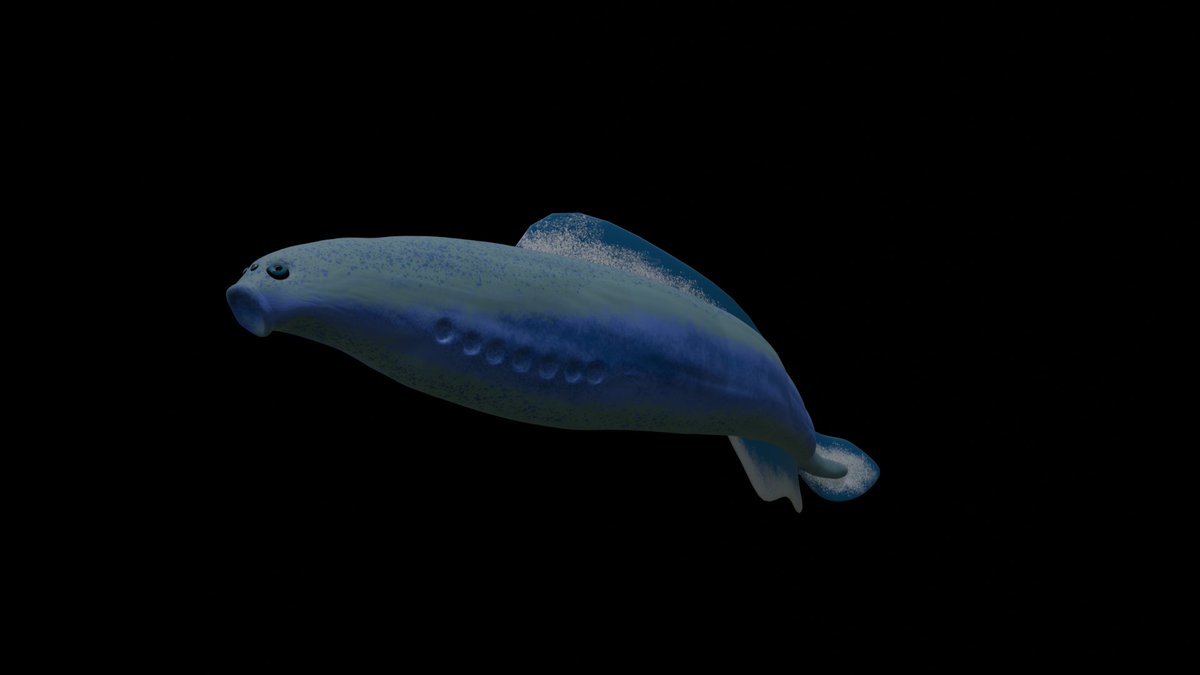 FilippoPro66064's tweet photo. My 3D model of the haikouichthys ercaicunenis the four-eyed fish, from the Cambrian period
(I used @mirokunn2224 's illustration to male my 3D model ☺️)
I Hope you like my work :)

#paleontology #dinosaurs #blender #paleoart https://t.co/5Htrifb1xq