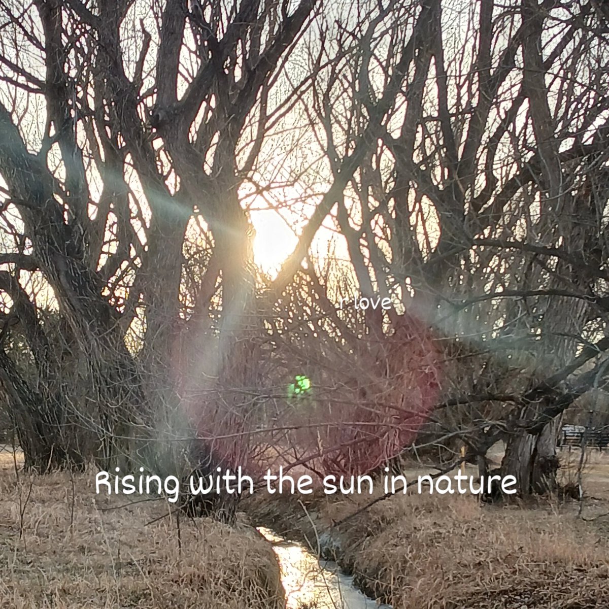 RLove (@ralove911) on Twitter photo 