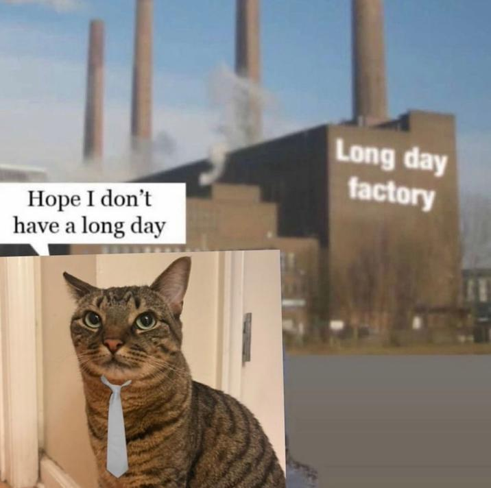 toptickcrypto's tweet photo. Hope I don't have a long day at the long day factory https://t.co/yQY3i8WXIE