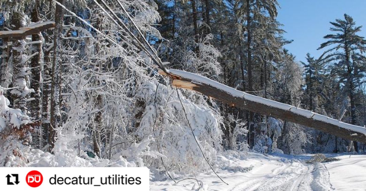 Public Power tweet media