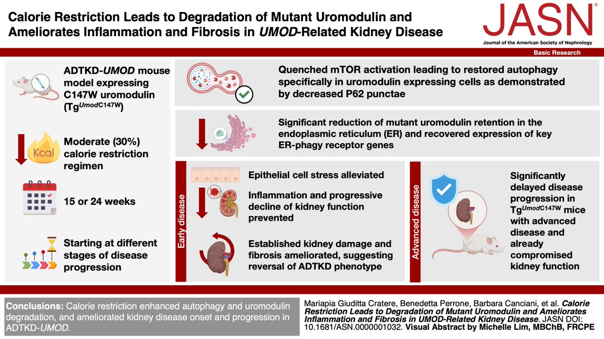 Luca Rampoldi tweet media