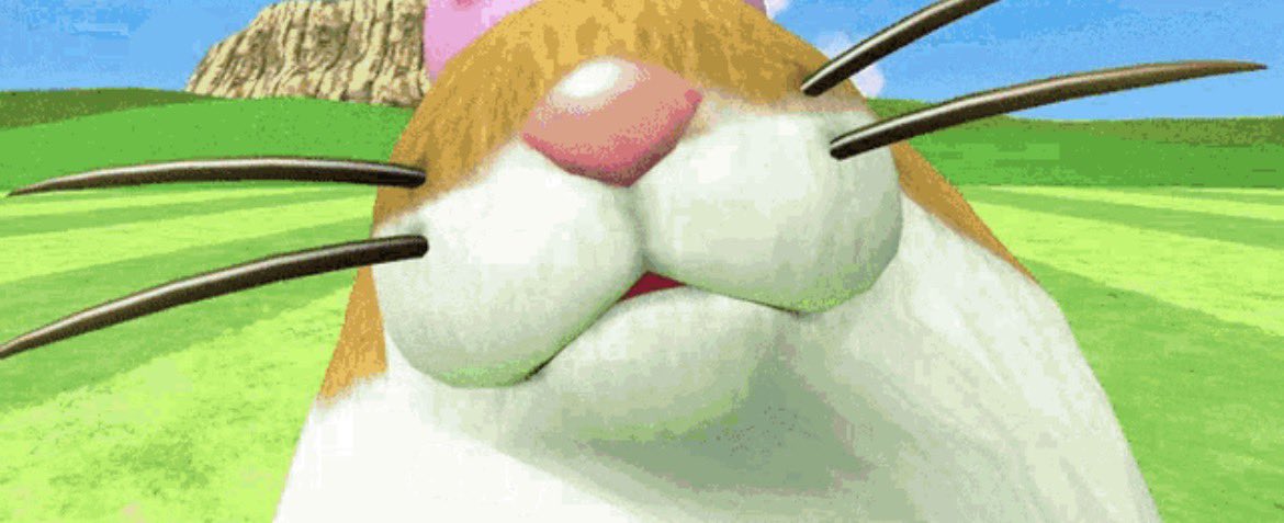 DaShIn_HaMpTeR's tweet image. [ The hampter sniffs [ READER ]

It seems he is doing a vibe check! ]