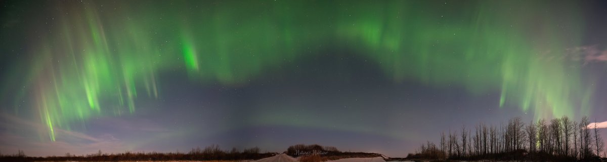 tracygregorash's tweet image. A couple panoramic views from last night’s #aurora in #Manitoba. Unfortunately the date/time was not set on my camera this round. 😓 My guess of time from my phone photos are 11:40pm and 11:55pm CST. Feb. 4th. So many unique patterns happened after midnight.